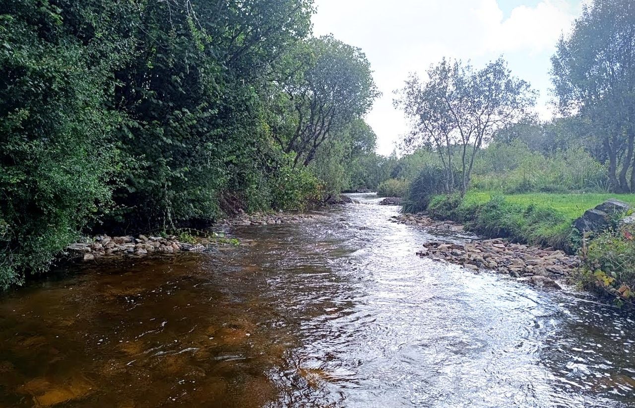 IFI to provide over €1m for river restoration projects in 2026