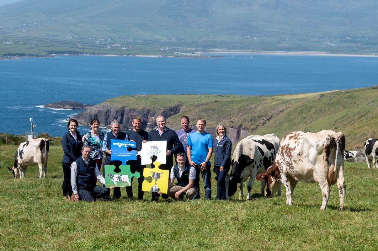 Entries sought for Kerry Holstein Friesian Breeders' herds competition