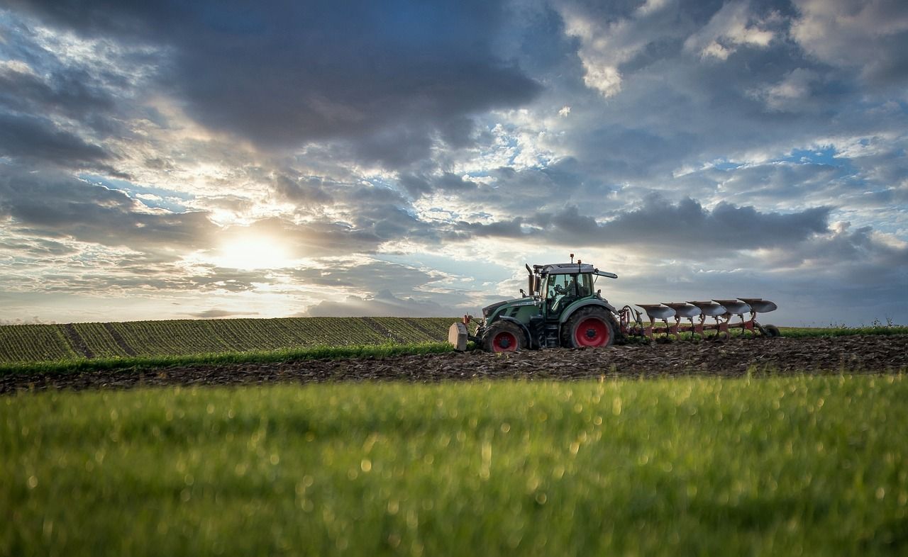 CSO: Over 260 new tractors licensed for first time in January