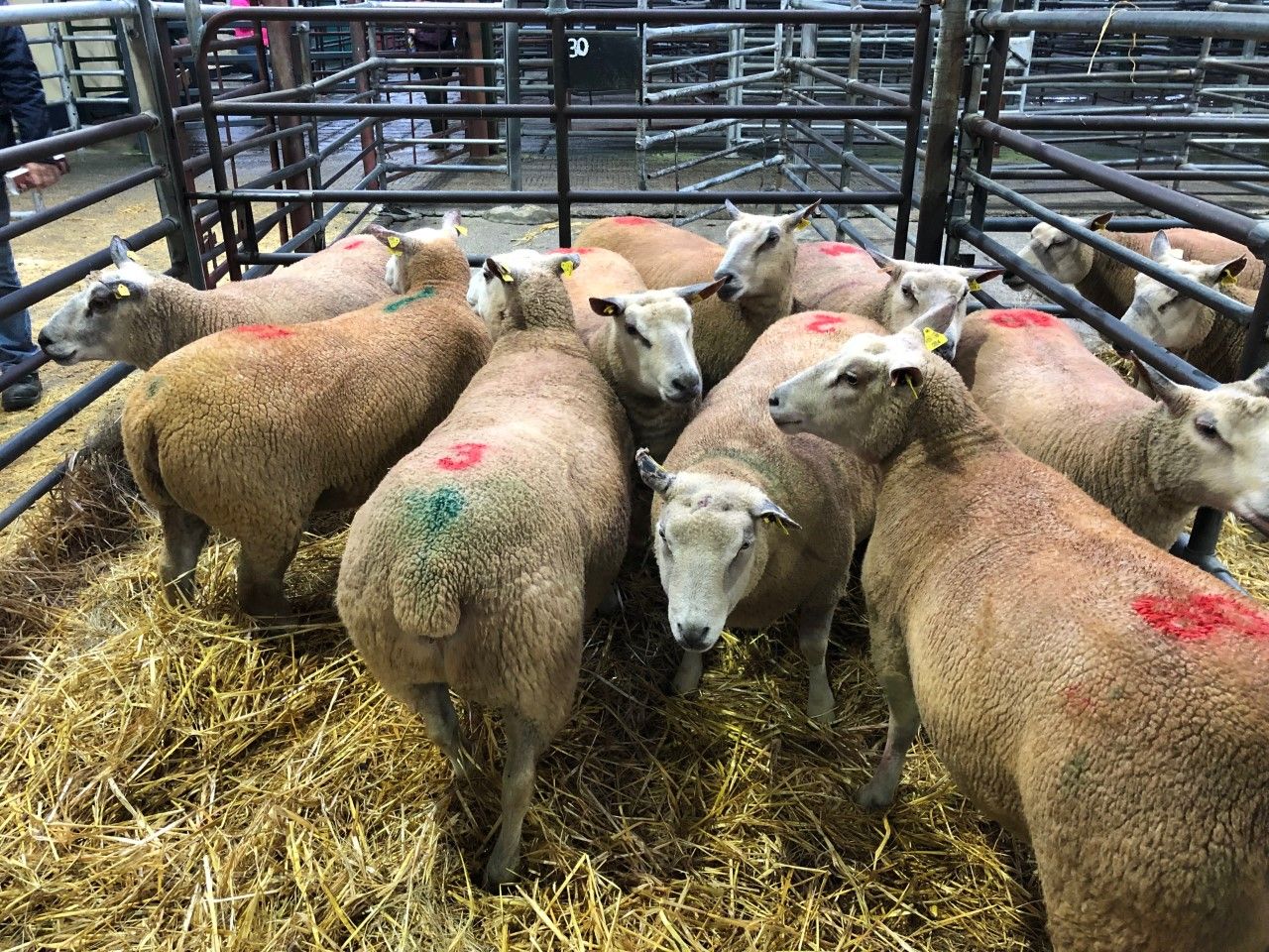 Pics and prices: 'Ladies First Production Sale'