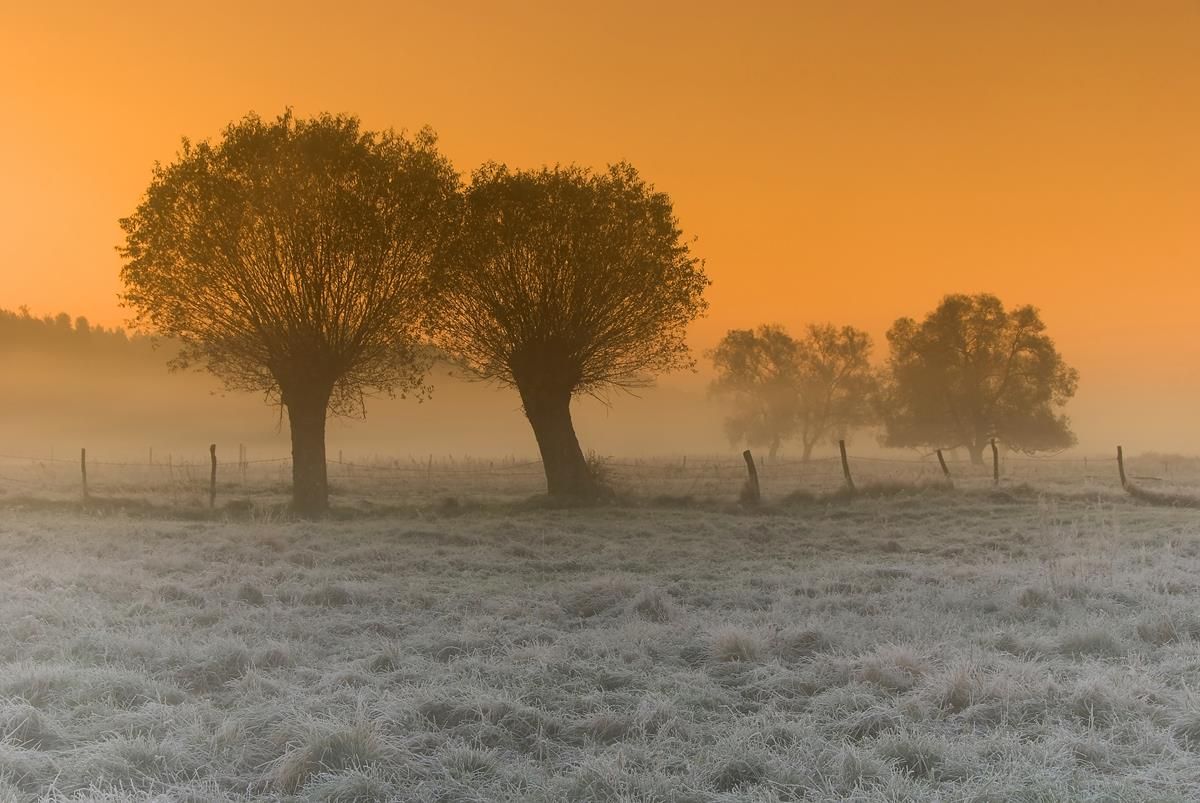 Temperatures to drop to -5 in parts and there's frost in store this weekend