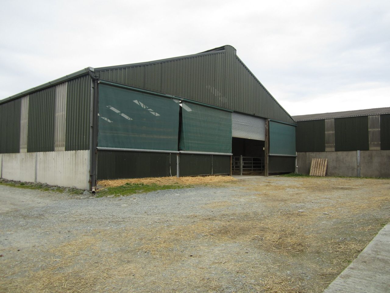 Covid-19 impact on farm incomes 'now likely to be more limited' - Teagasc