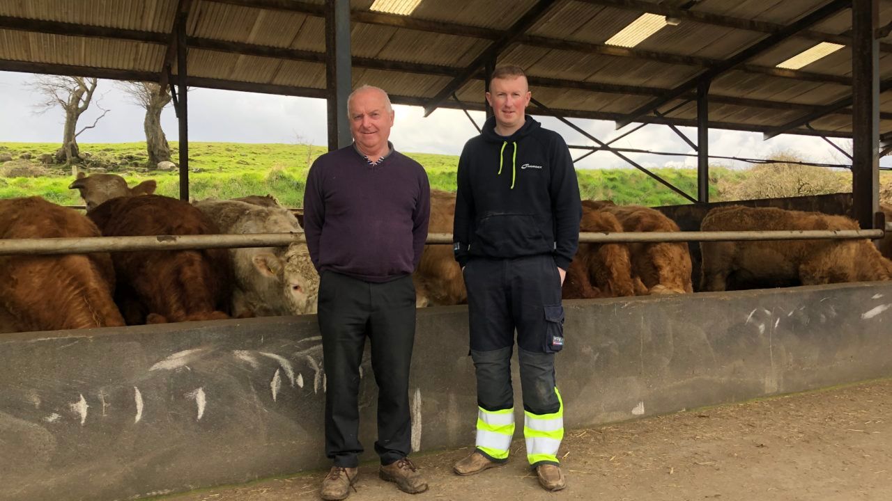 ABP Monitor Farms: More sucklers and a reseed in Sligo