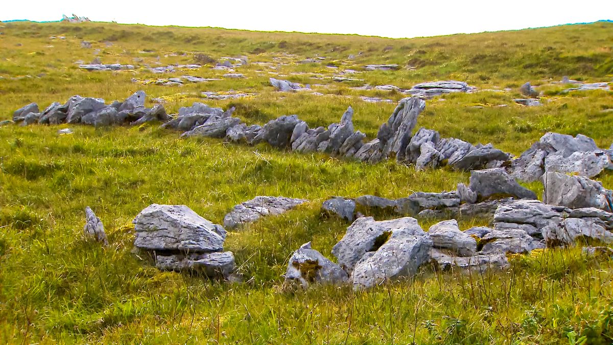 Burrenbeo Trust 'celebration' of biodiversity to begin on May 3