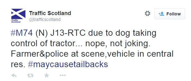 Barking mad: dog crashes tractor it's driving!