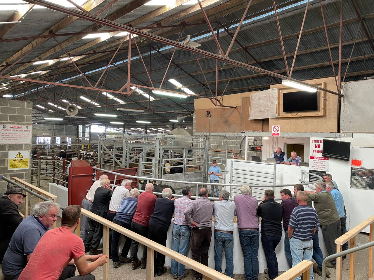Mart report: General cattle sale at Clones