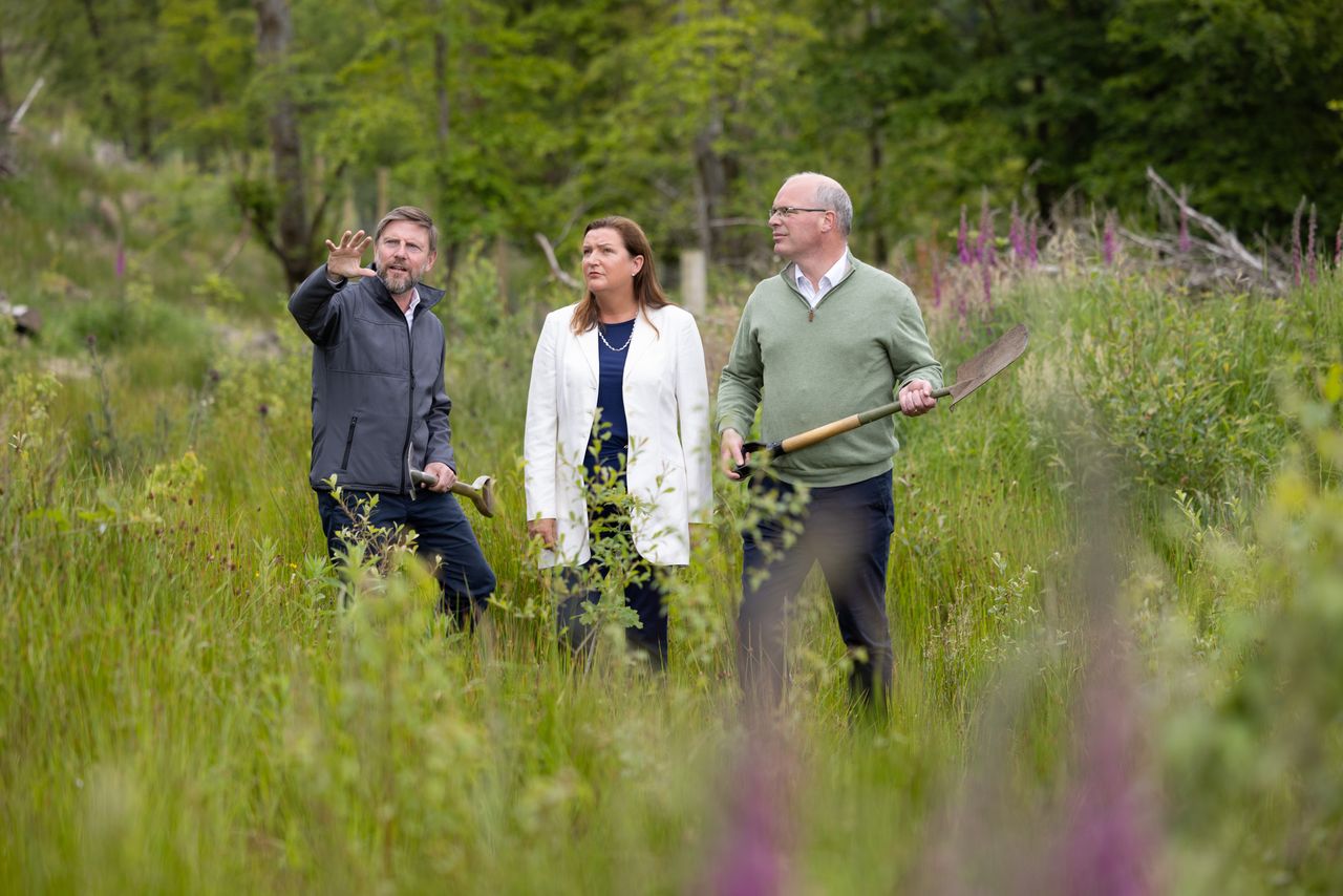 Nature Trust to plant 1.2m native trees following Aviva donation