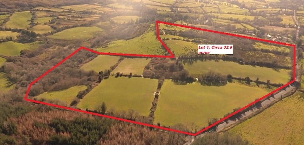 39ac roadside holding for sale in Sixmilebridge