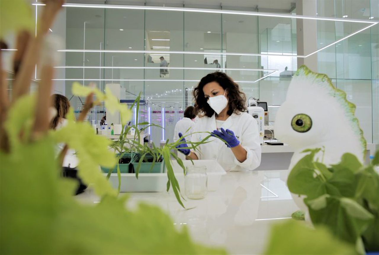 Bayer links up with Kimitec for biological crop protection