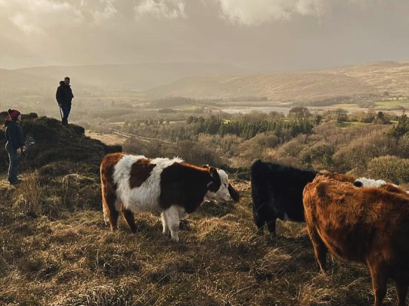 Donegal farmers hold events to share experience on restoring land