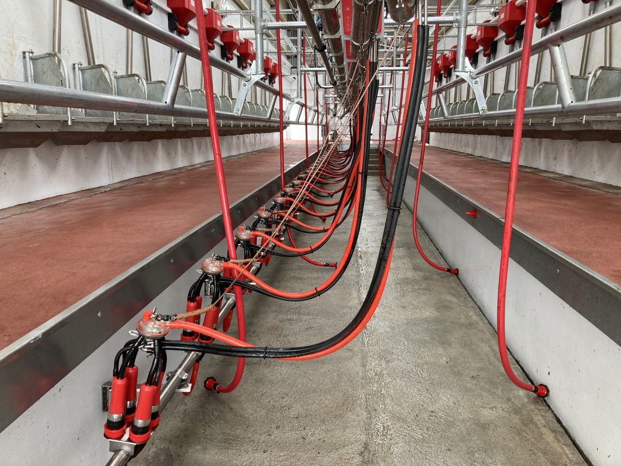Domestic milk intake down 30 million litres in 2024