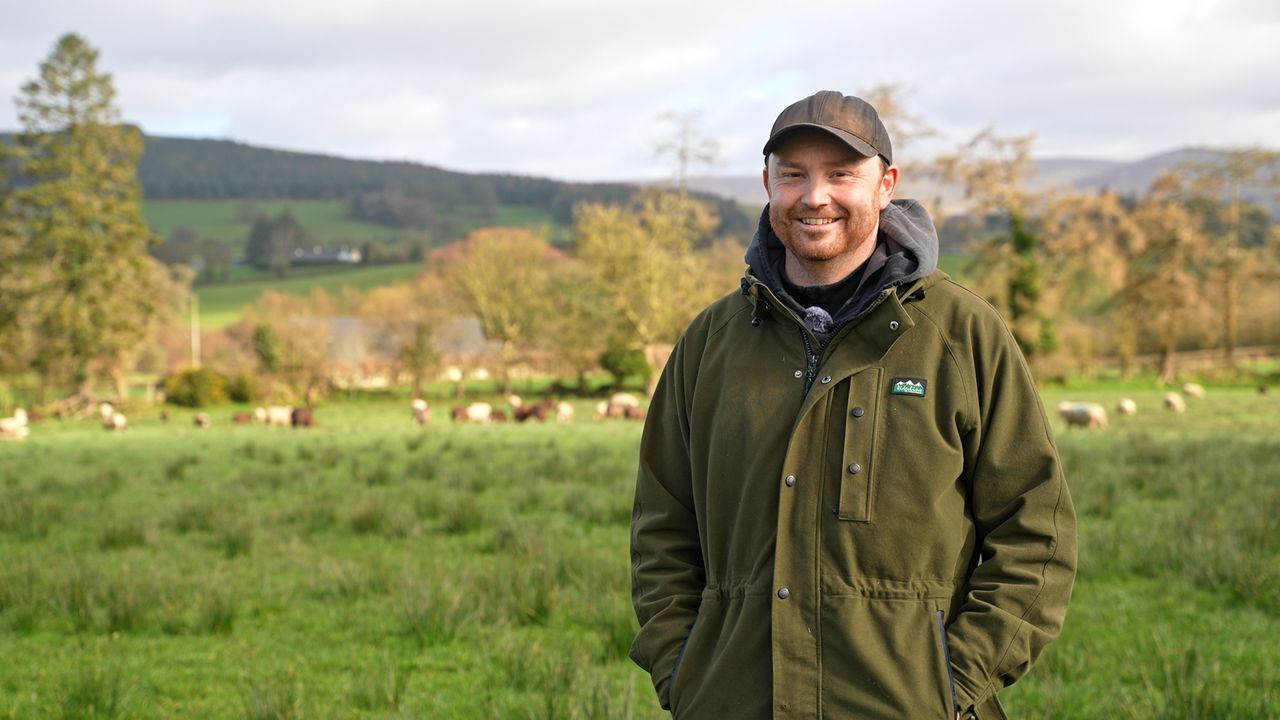 Watch: Wicklow farmer talks sheep milk and food production