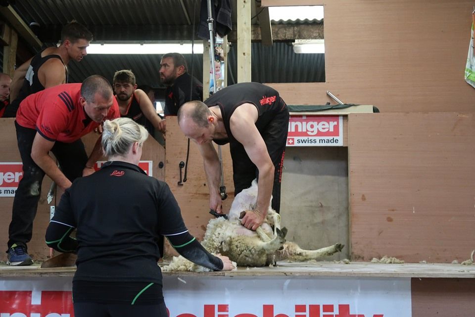 Sheep-shearing record smashed in Co. Cavan
