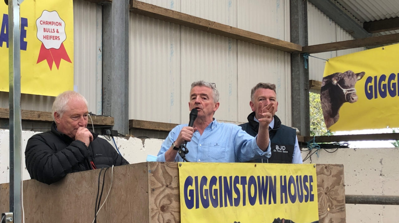 Gigginstown House Angus sale set for Saturday, April 18