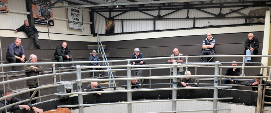 Success at Ballinrobe Mart with bids placed ringside and online