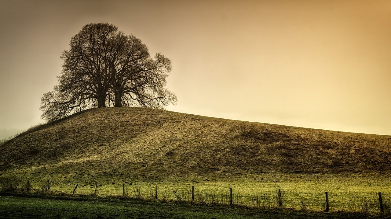 ACRES payments need to 'land on time' - farm org