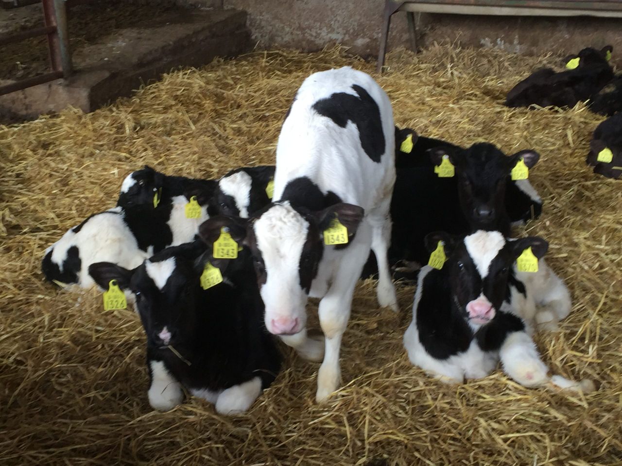 Department says BVD 'name and shame' letters are working