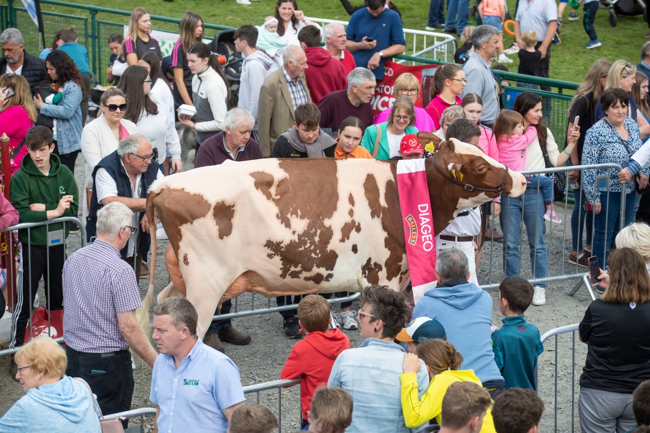 Judge for 2024 Baileys cow competition named