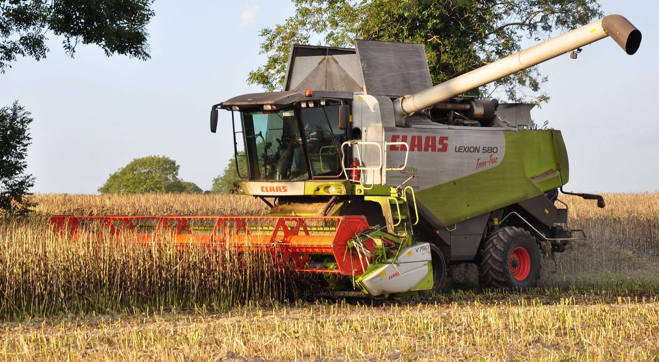MEPs call for 'robust strategy' to boost protein crops on EU farms