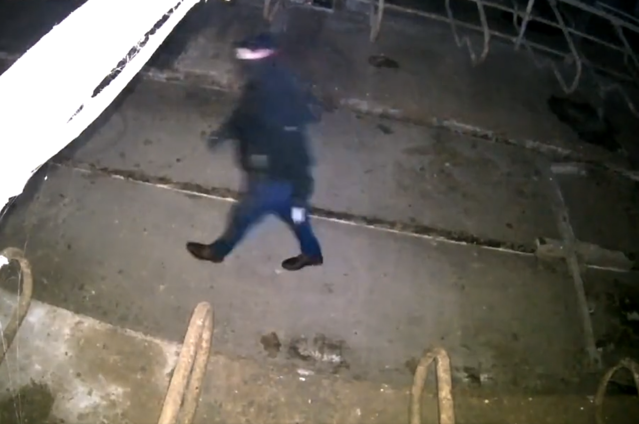 Calving camera catches power washer thieves on Tipperary farm