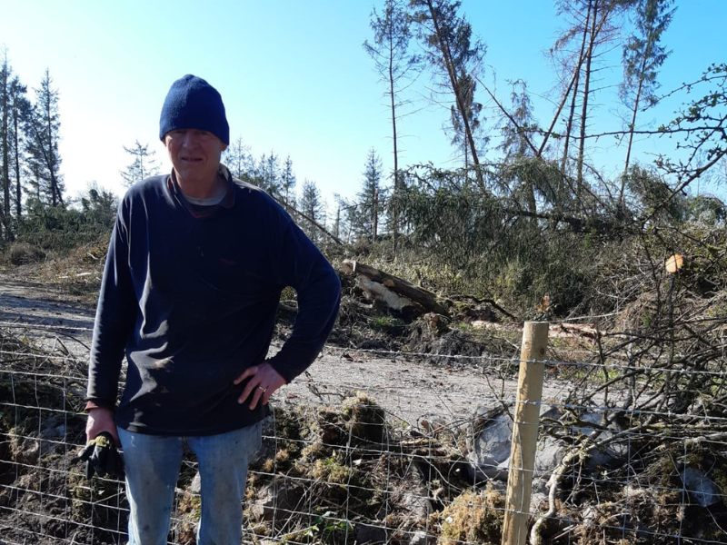 Farmer 'relieved' as fencing repaired by Coillte after much delay