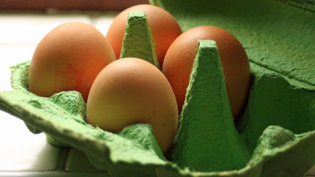 'Egg producers deserve State support as they lose free range status'