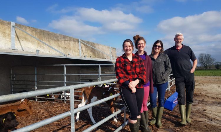 Calf housing throwback: Converting a silage slab into calf housing facilities in Meath