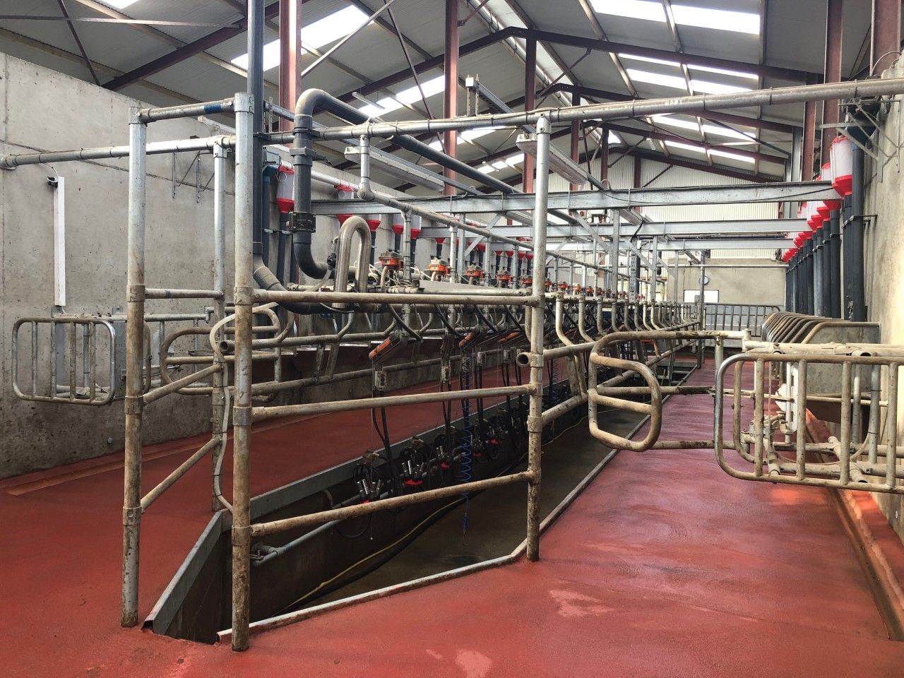 Milk Price Tracker: How does your milk price compare to other co-ops? Find out...