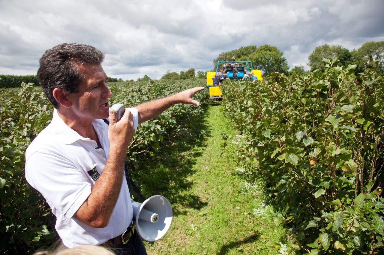 Good Food Ireland Experiences drives farm tourism
