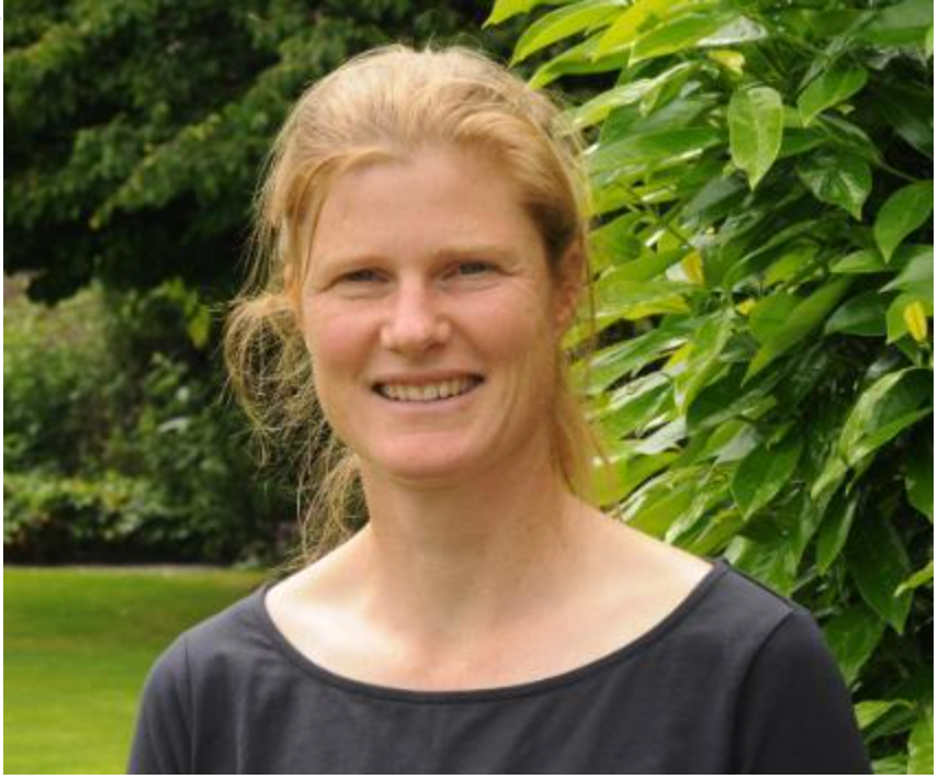 Ireland has huge potential to improve animal welfare - UCD chair