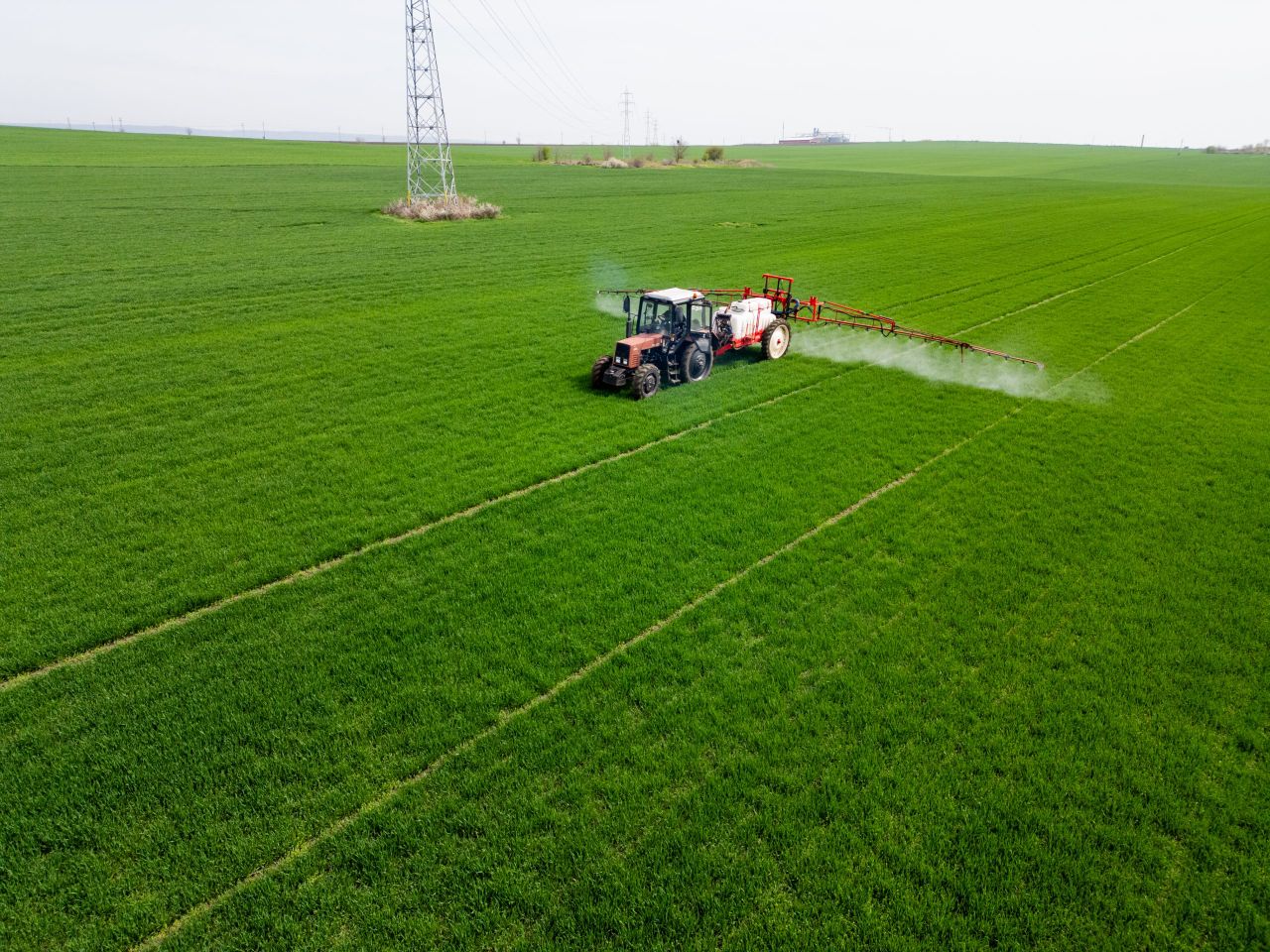 Trump suspends duties on certain fertiliser imports to US