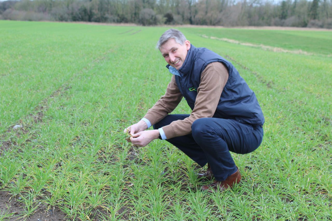 Strategic plan needed for spring planting of cereal crops - expert