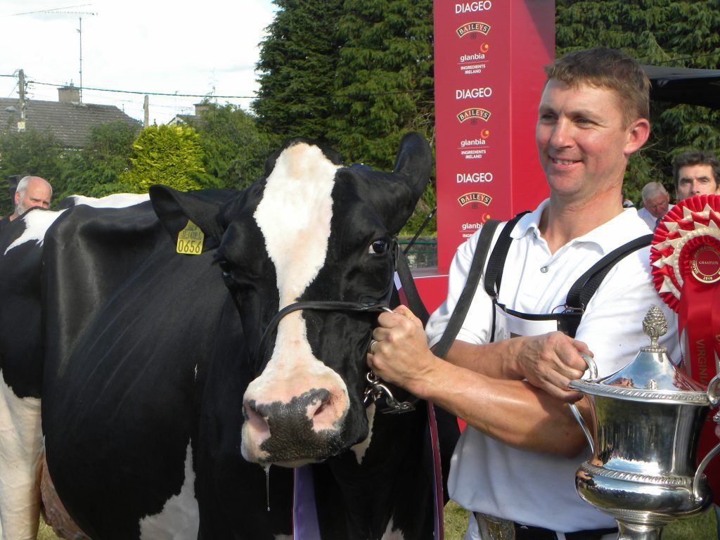 'Brainwash': Top dairy breeder hits out at 'one-sided' Teagasc message