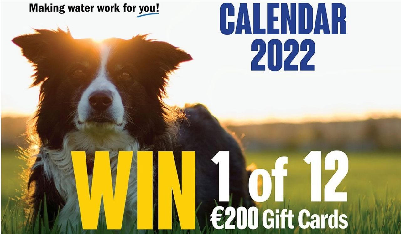 Working dog calendar comp: Will your pup make the cut?