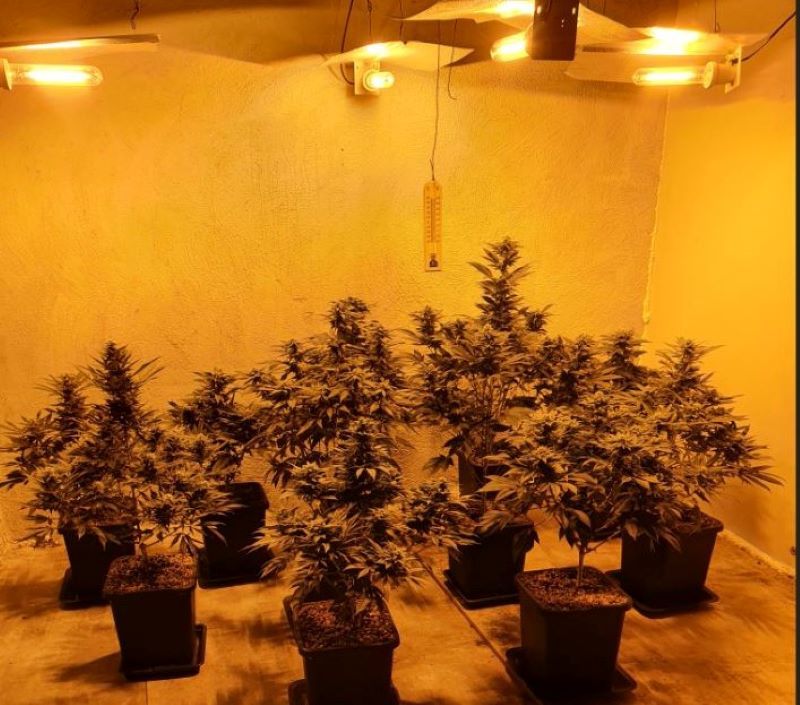 Man arrested and €150k of cannabis seized in rural Galway village