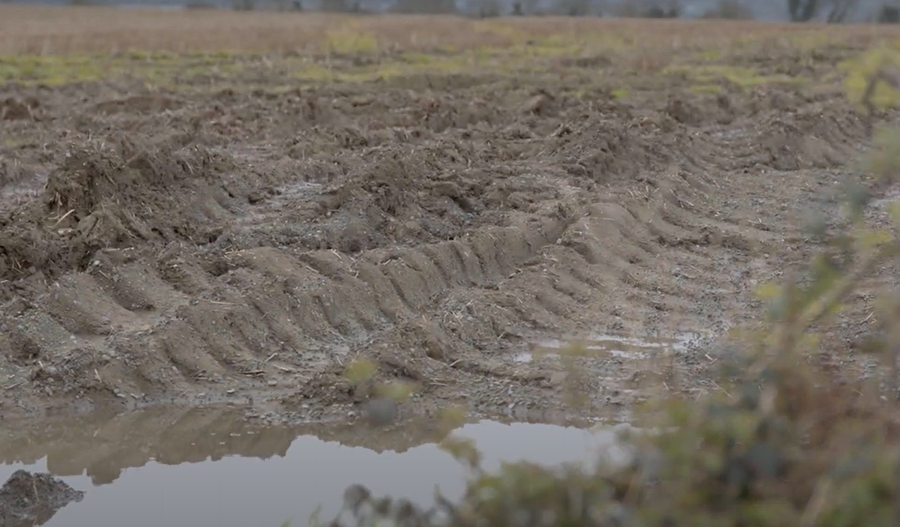 Watch: Farmer warns that stress over weather will 'break people'