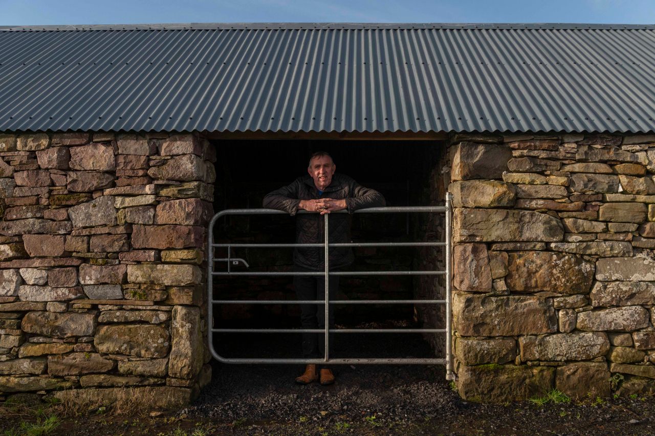Co. Mayo farmer to stand for local elections in 2024