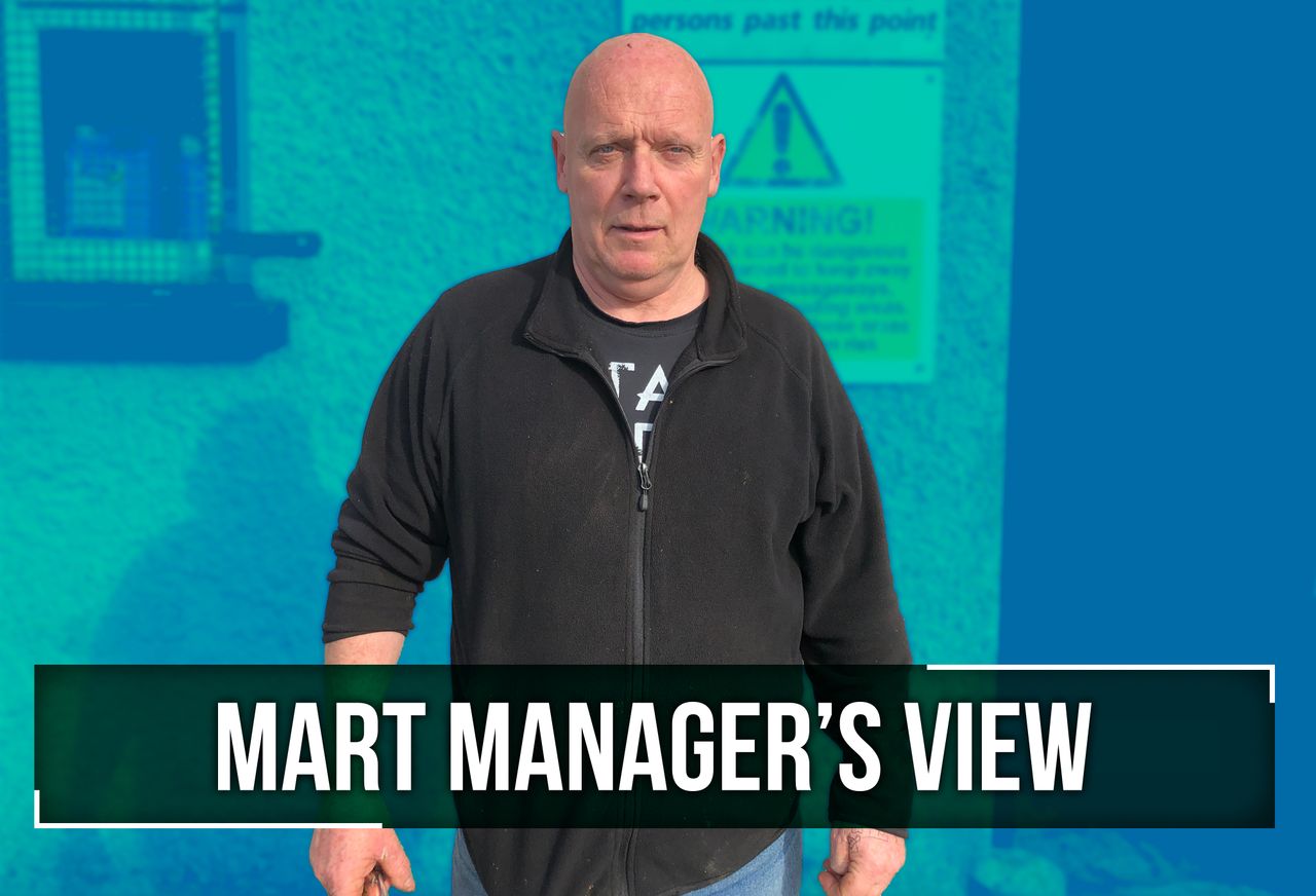 'The trade was a bit easier for cattle this week'