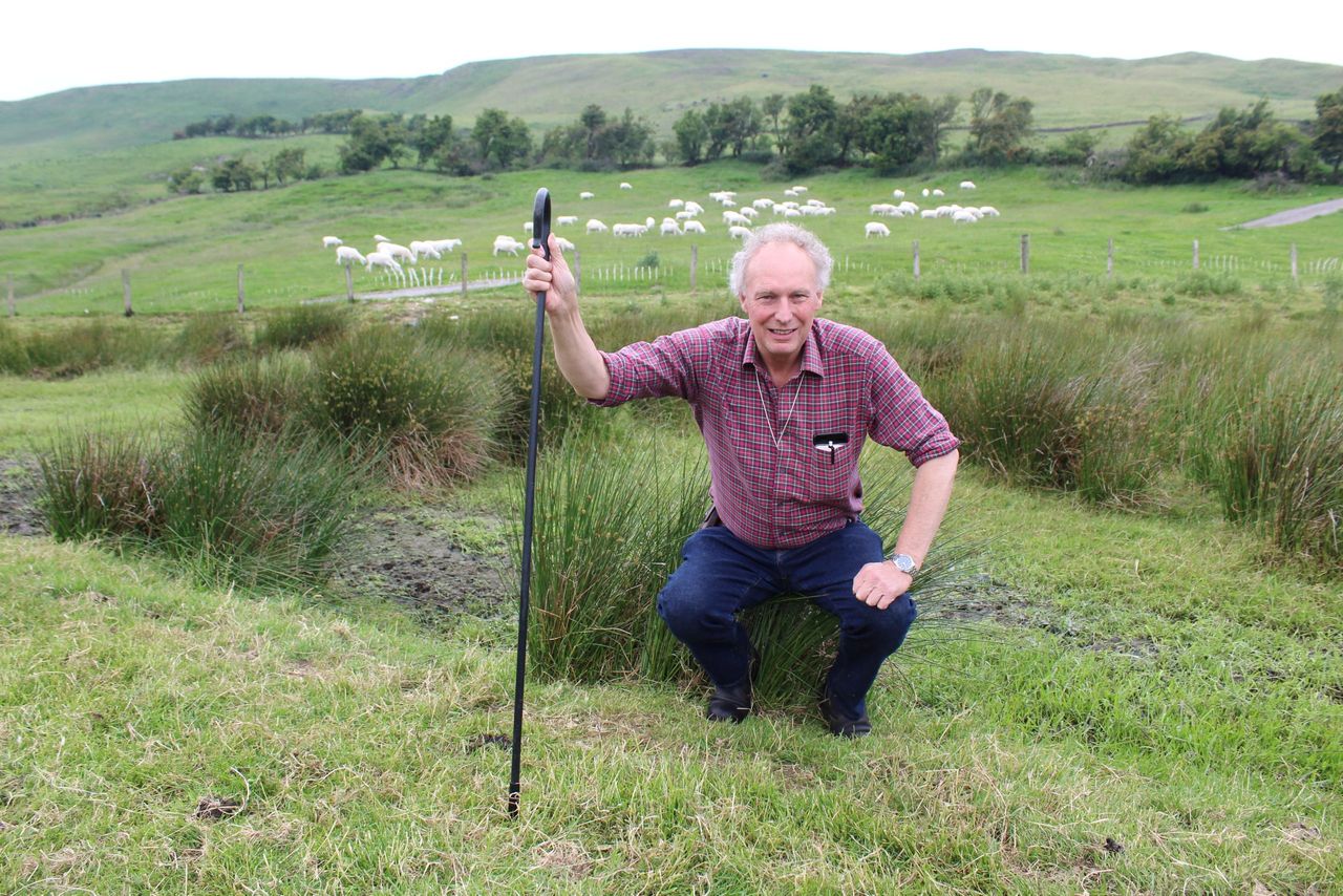 Demand for EasyCare bloodlines opening up overseas markets - farmer