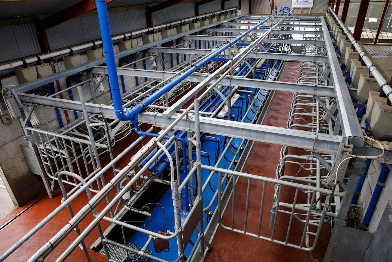 DeLaval unveils new sequential bailing milking parlour