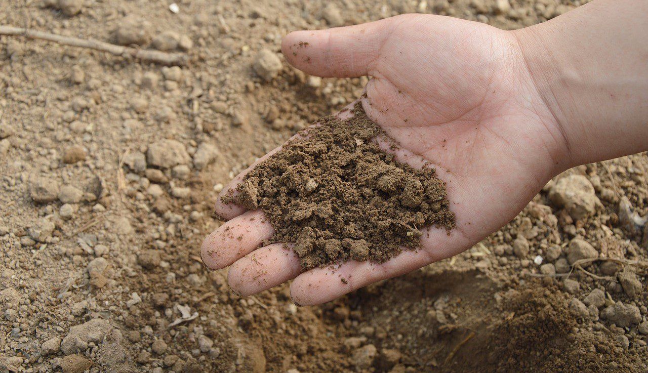 Teagasc seeks farmers for 'citizen science project' on soil