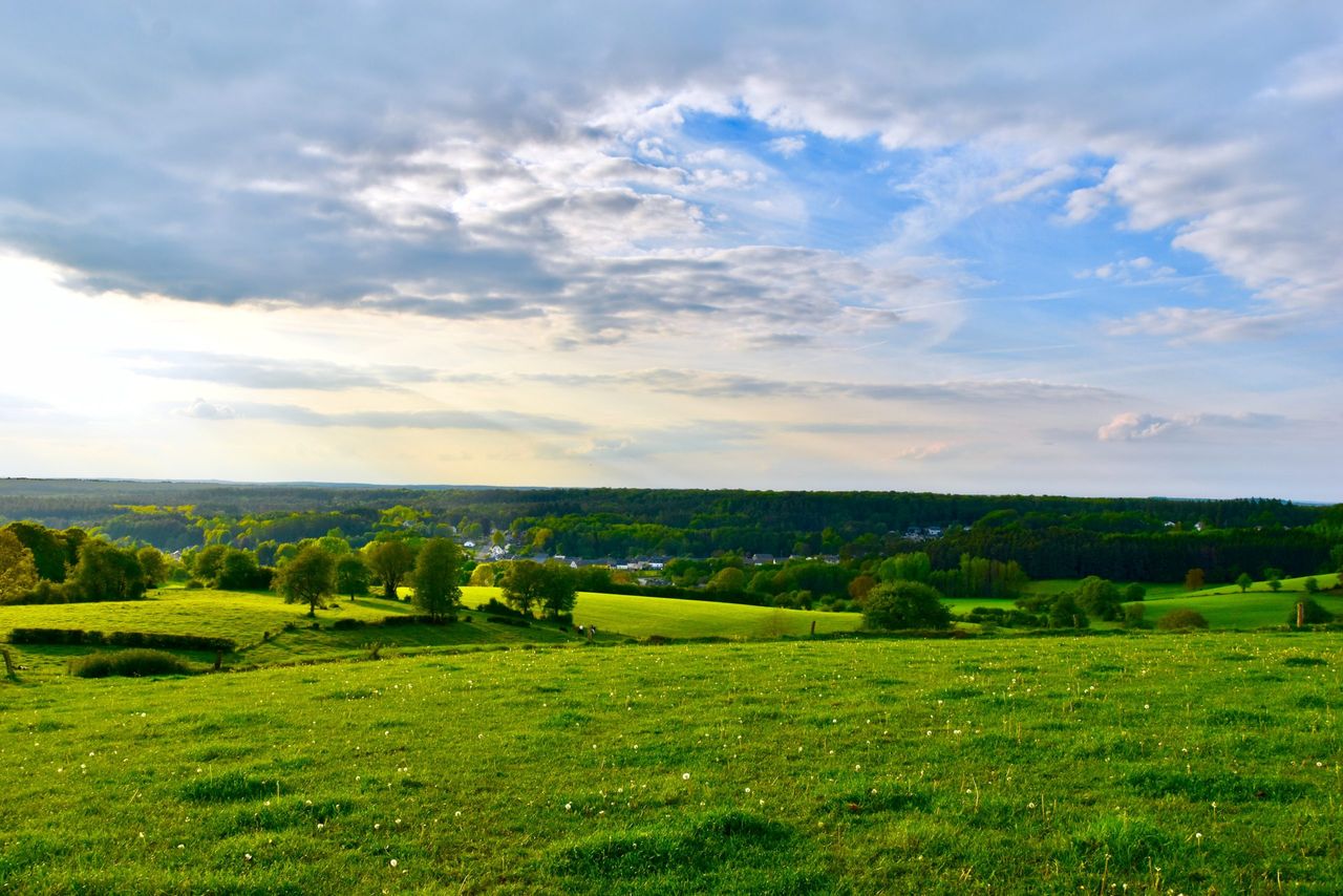 6.3% increase in agricultural land prices this year
