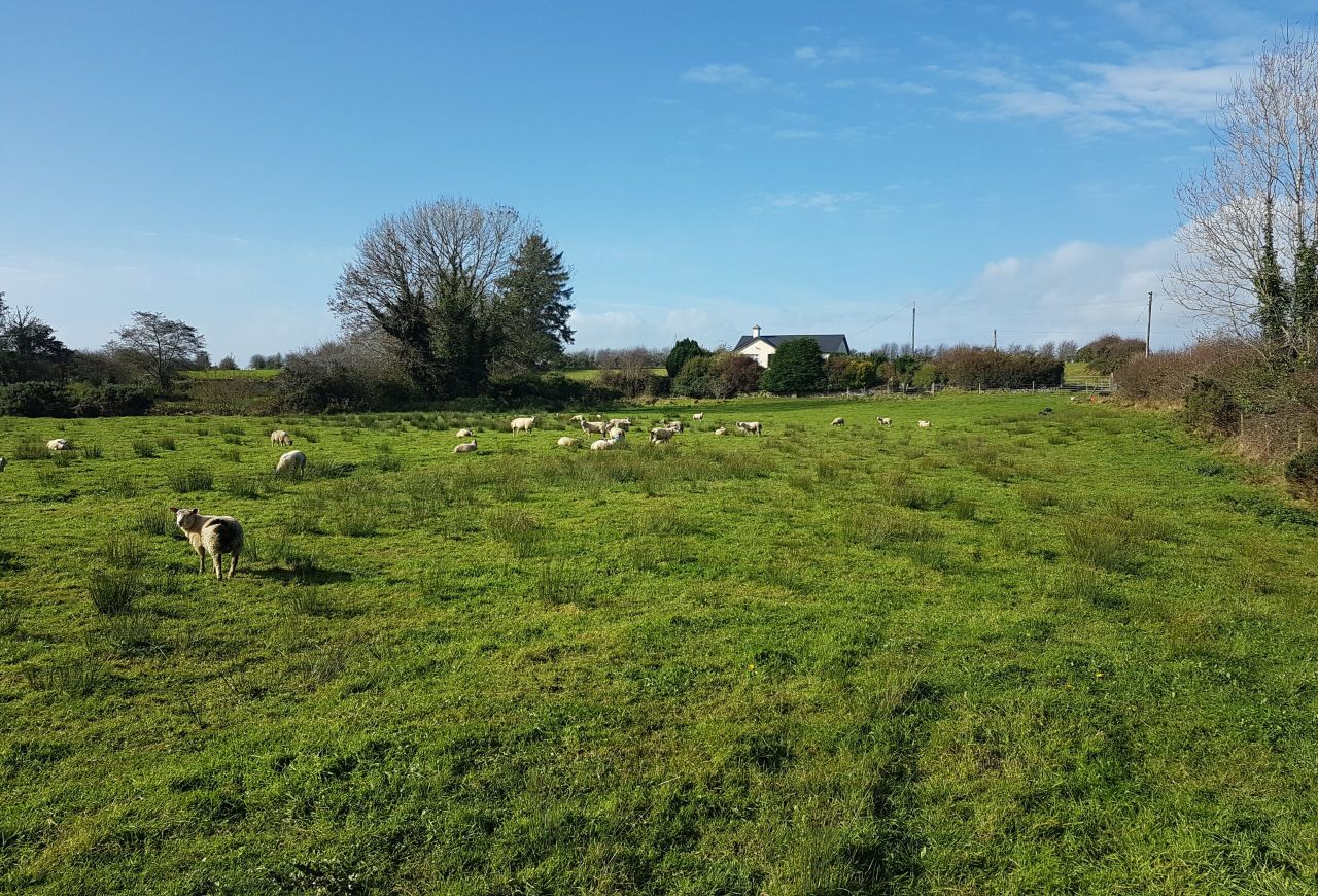 Co. Mayo location sees 48ac of mixed-quality agricultural land in 1 parcel