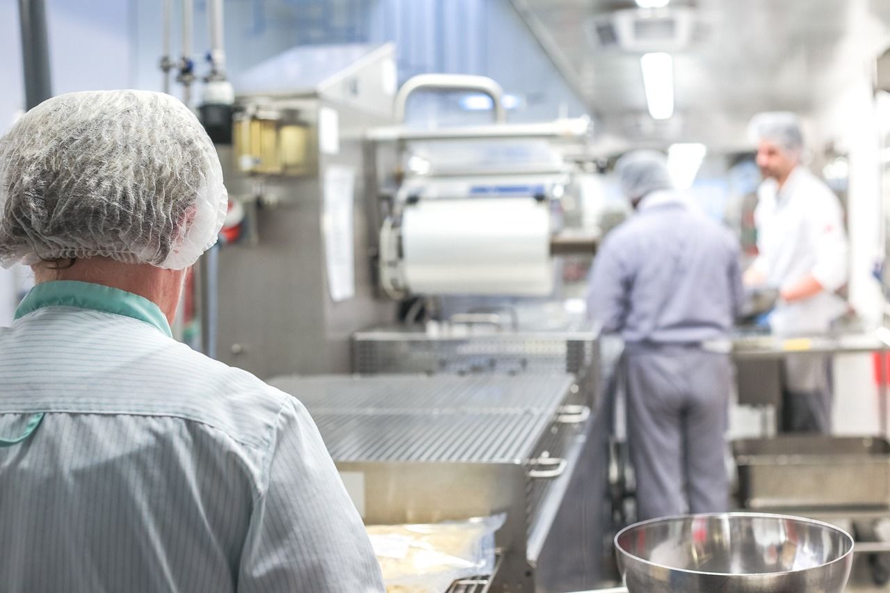Food safety and security identified as a potential 'risk' in new report