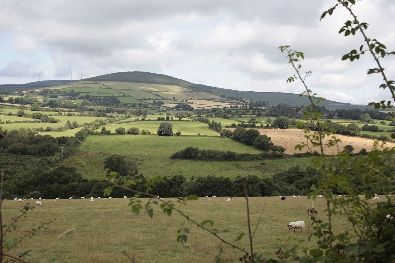 Met Éireann: Mostly dry this weekend with some scattered showers