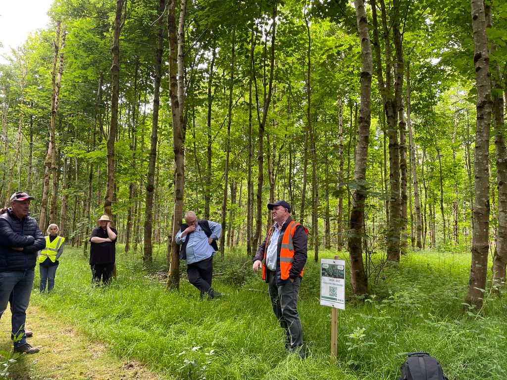 Teagasc forestry advisor Kevin O'Connell