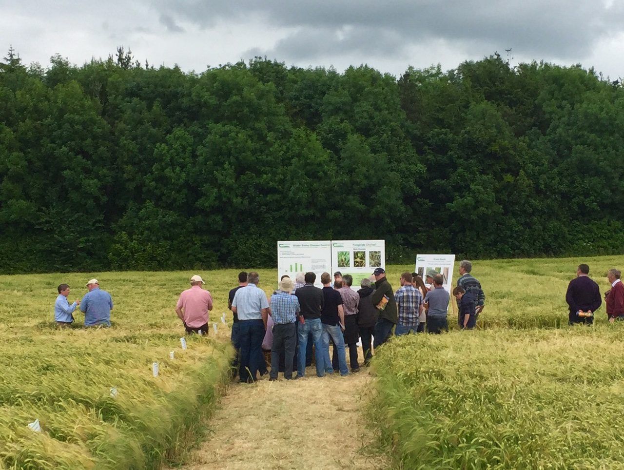 Teagasc receives over 200 applications for Agricultural Development Officer roles