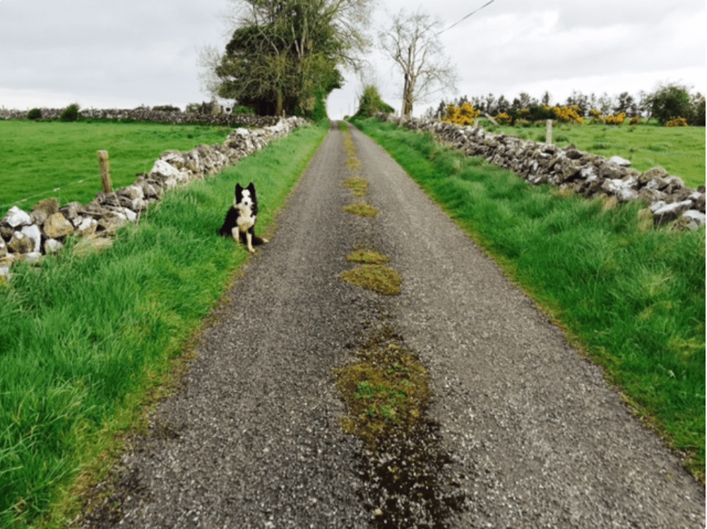 €12.5m to upgrade rural roads and laneways