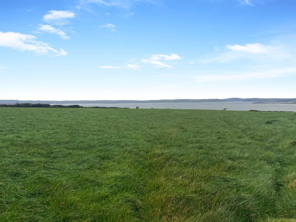 16.1ac roadside holding at Fethard-On-Sea for sale