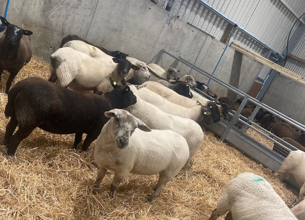 Upheaval impacting on farmers' health